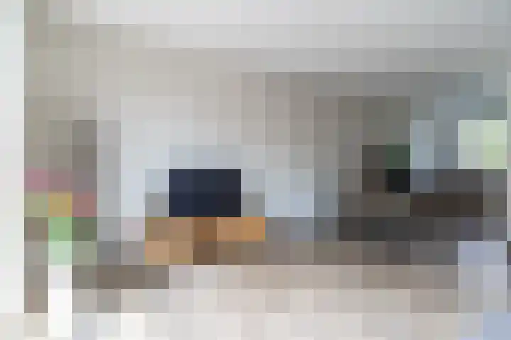 Wijereind 2 Hapert thumbnail 15