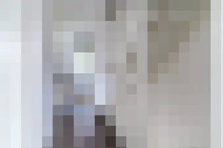 Wijereind 2 Hapert thumbnail 17