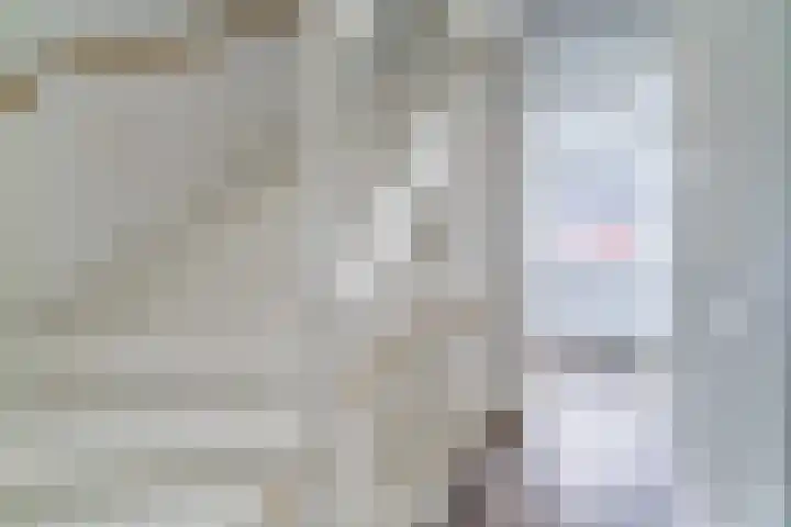 Wijereind 2 Hapert thumbnail 18