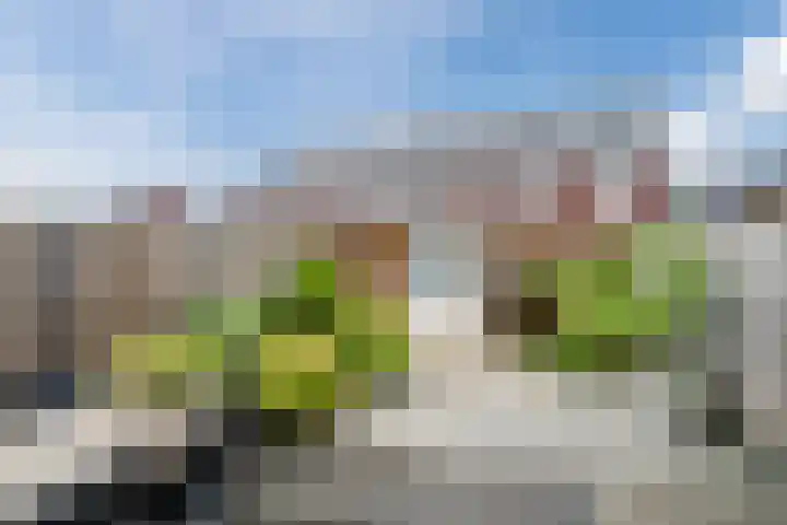 Wijereind 2 Hapert foto 2