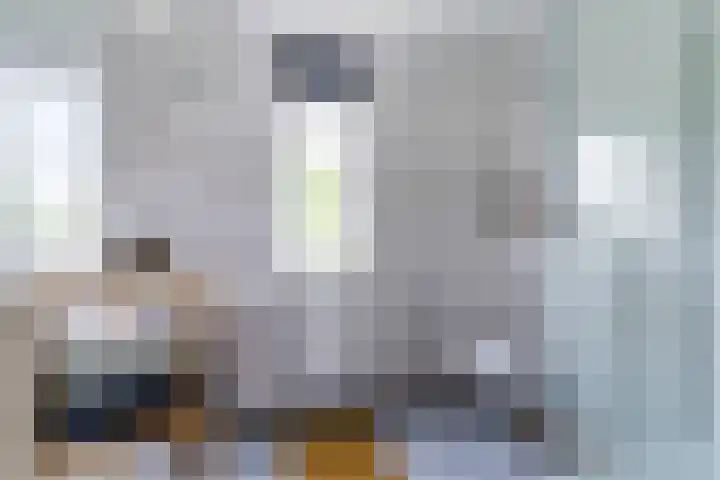 Wijereind 2 Hapert thumbnail 23