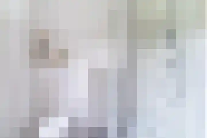 Wijereind 2 Hapert thumbnail 24