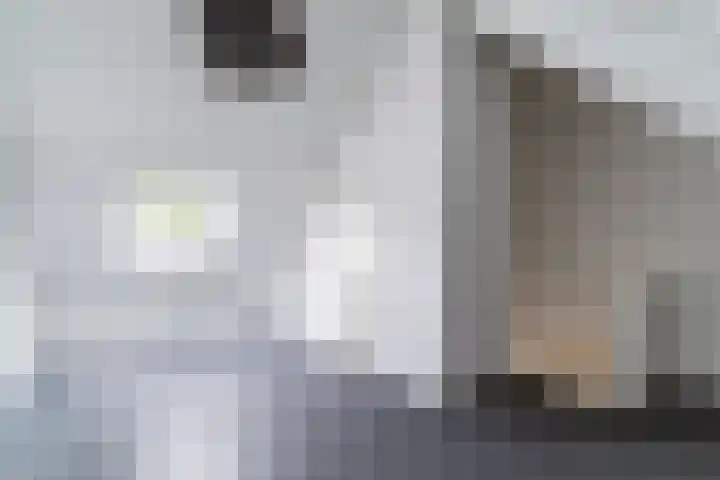 Wijereind 2 Hapert thumbnail 26