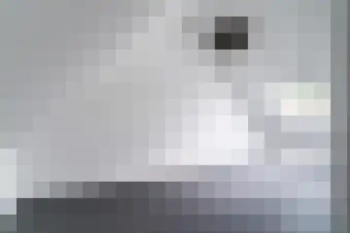 Wijereind 2 Hapert thumbnail 27