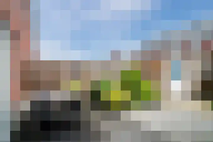 Wijereind 2 Hapert thumbnail 29