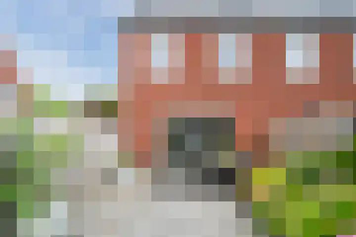 Wijereind 2 Hapert thumbnail 30