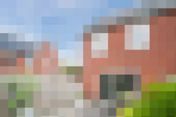 Wijereind 2 Hapert thumbnail 31