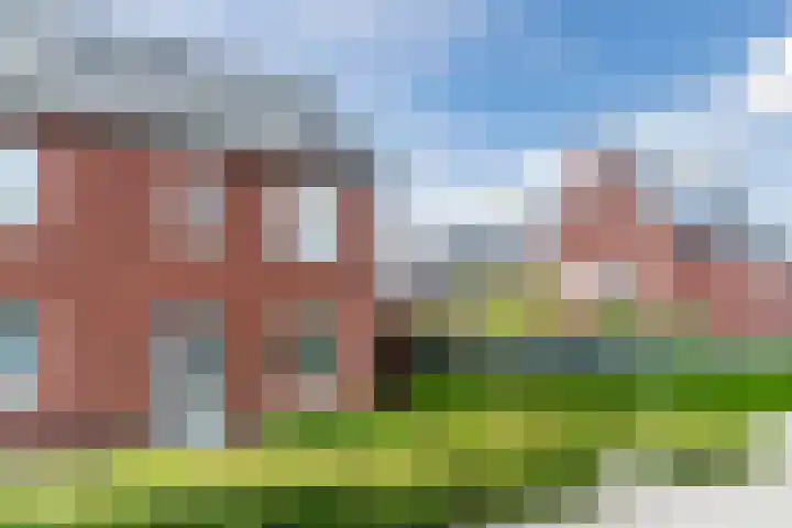 Wijereind 2 Hapert thumbnail 33