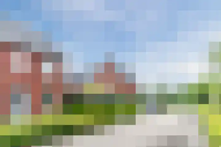 Wijereind 2 Hapert thumbnail 35