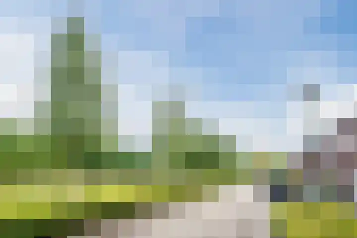 Wijereind 2 Hapert thumbnail 36