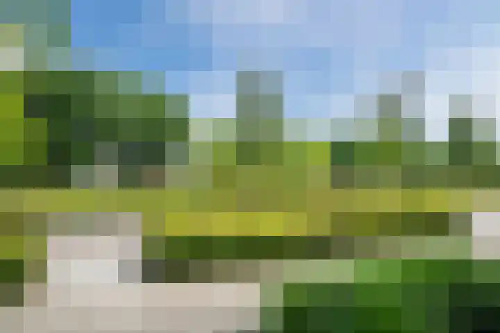 Wijereind 2 Hapert thumbnail 37