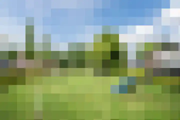Wijereind 2 Hapert thumbnail 38