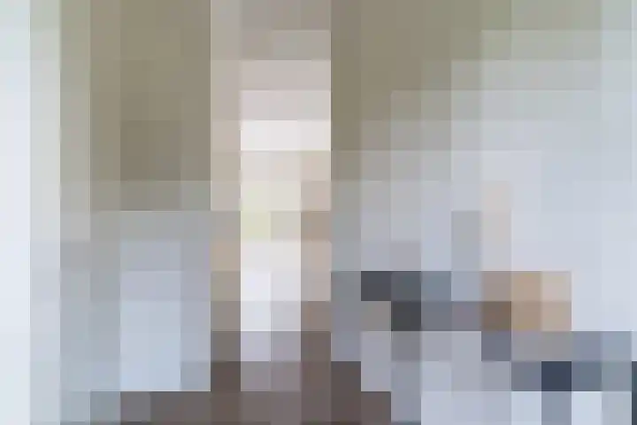 Wijereind 2 Hapert thumbnail 4