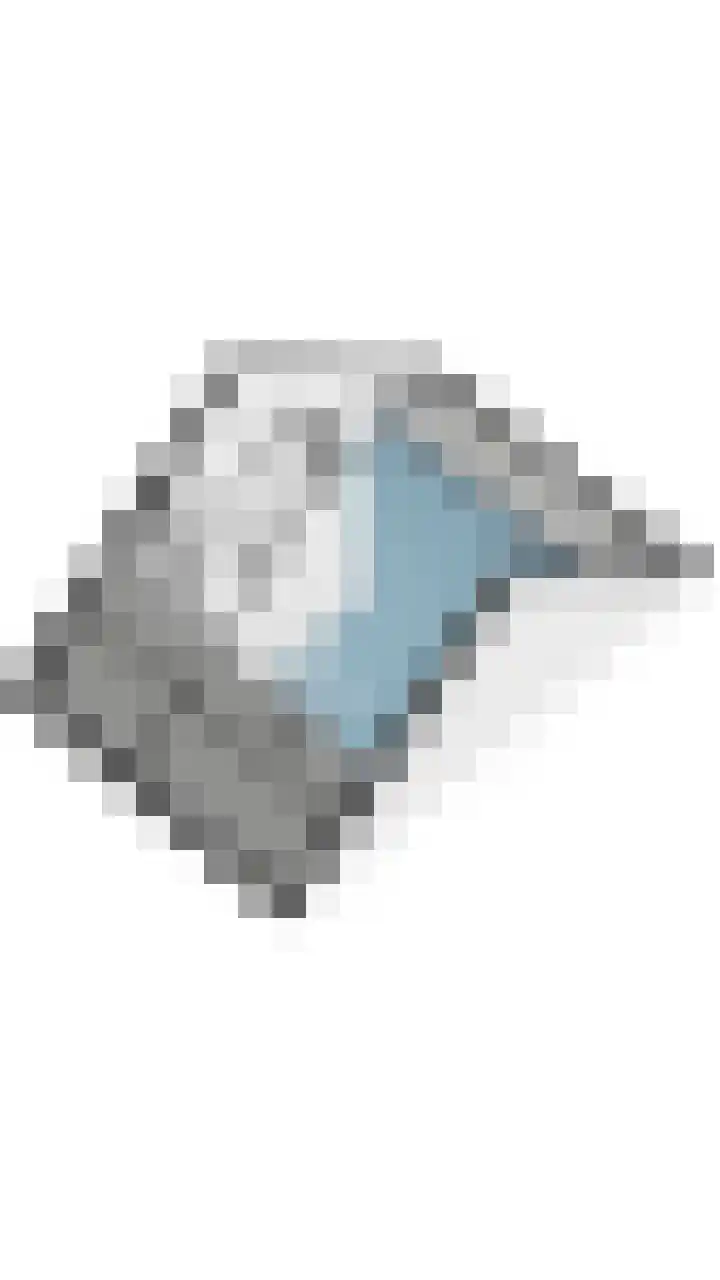 Wijereind 2 Hapert thumbnail 48