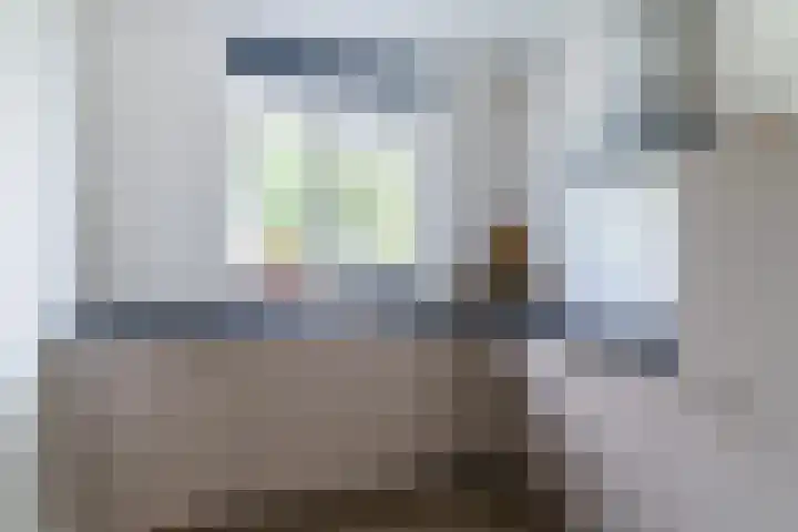 Wijereind 2 Hapert thumbnail 8