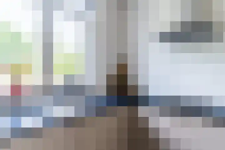 Wijereind 2 Hapert thumbnail 9