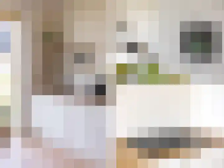 Wijershof 3 Zutphen thumbnail 10