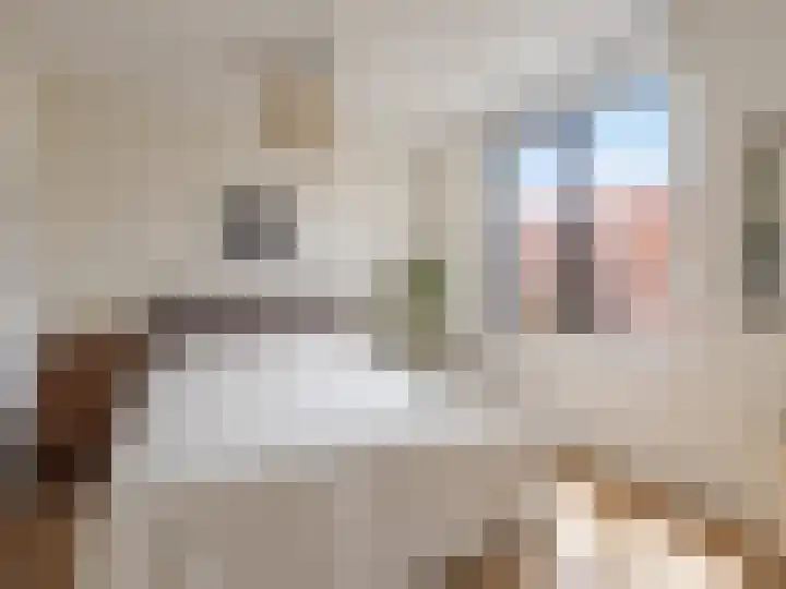 Wijershof 3 Zutphen thumbnail 13