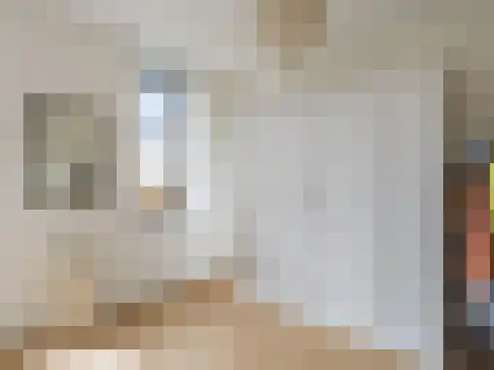 Wijershof 3 Zutphen thumbnail 14