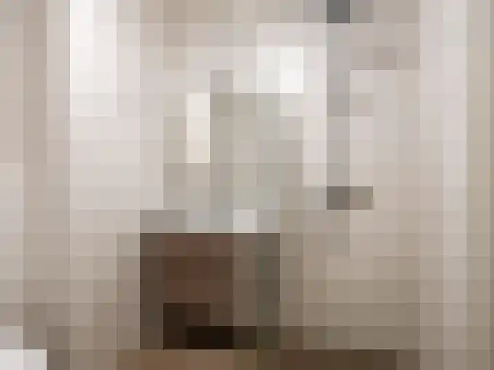 Wijershof 3 Zutphen thumbnail 15
