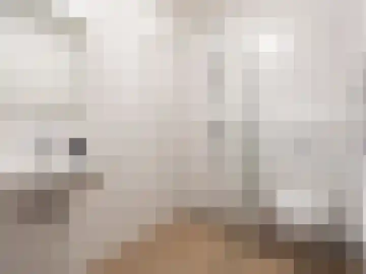 Wijershof 3 Zutphen thumbnail 22