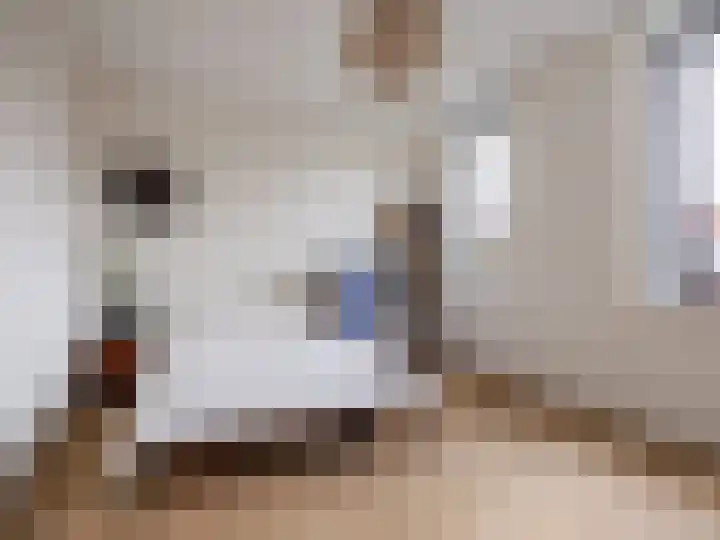 Wijershof 3 Zutphen thumbnail 23