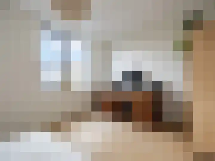 Wijershof 3 Zutphen thumbnail 24