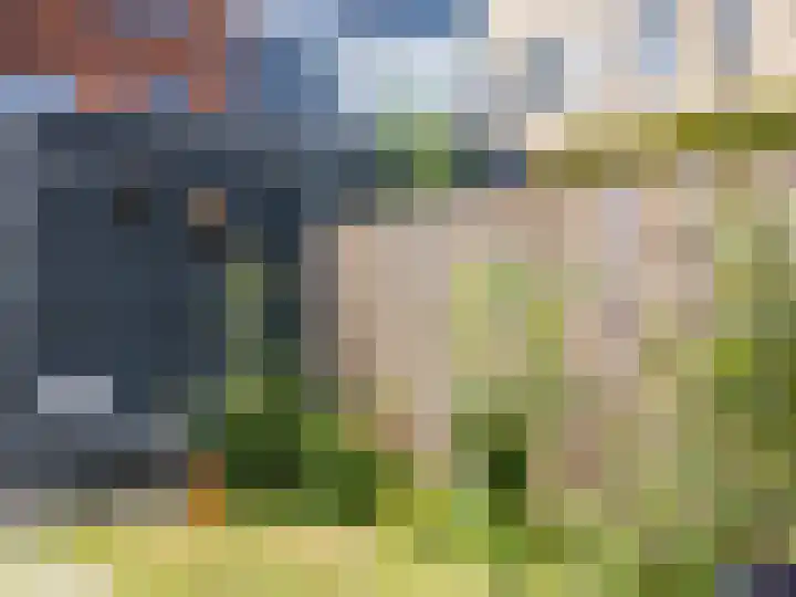 Wijershof 3 Zutphen thumbnail 26