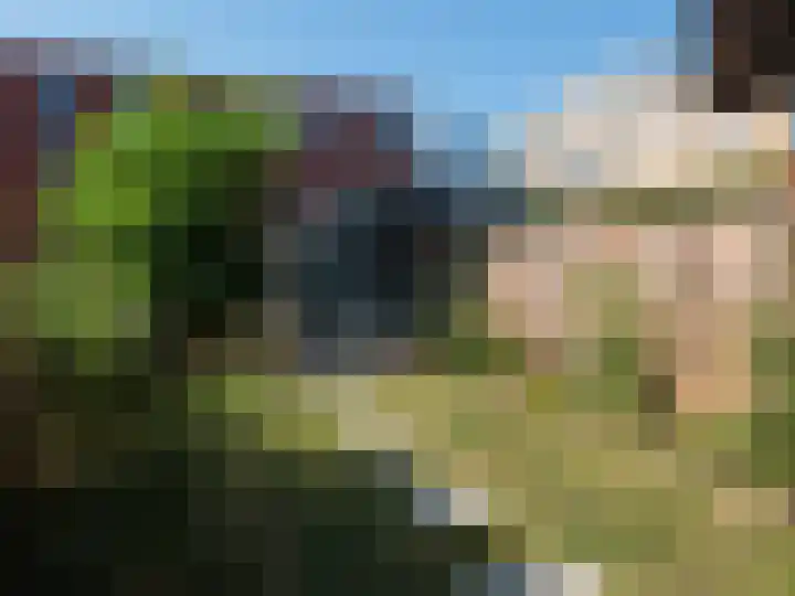 Wijershof 3 Zutphen thumbnail 31