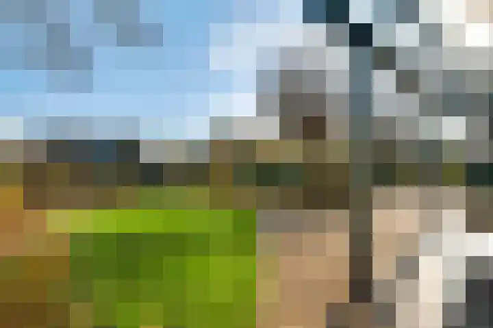 Wijershoflaan 23 Roermond thumbnail 48