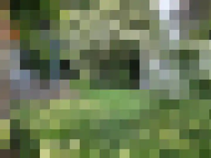 Wijershoflaan 23 Roermond thumbnail 58