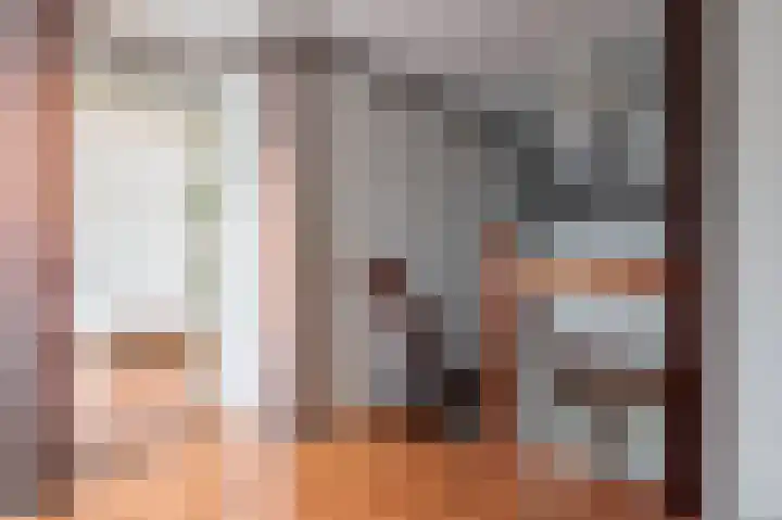 Wijheseweg 44 Raalte thumbnail 26