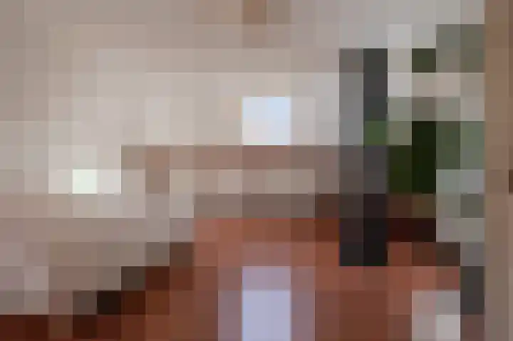 Wijheseweg 44 Raalte thumbnail 29