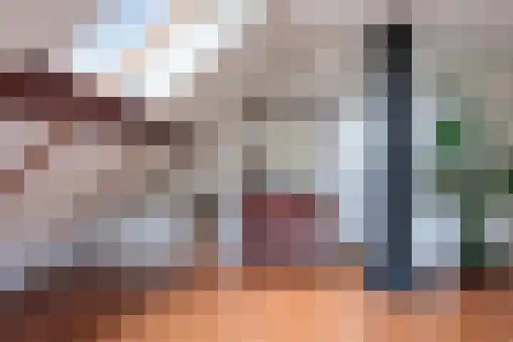 Wijheseweg 44 Raalte thumbnail 32