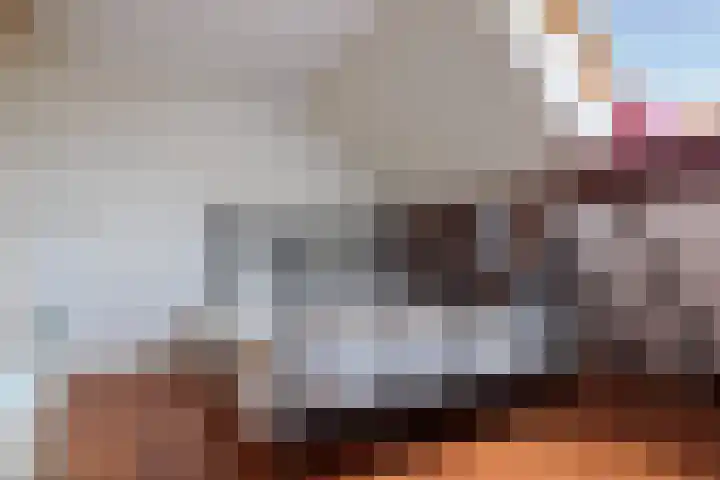 Wijheseweg 44 Raalte thumbnail 34