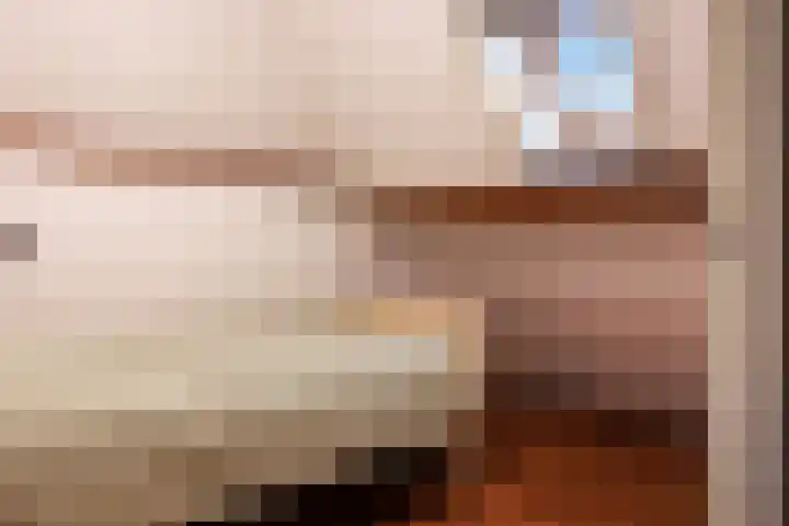 Wijheseweg 44 Raalte thumbnail 37