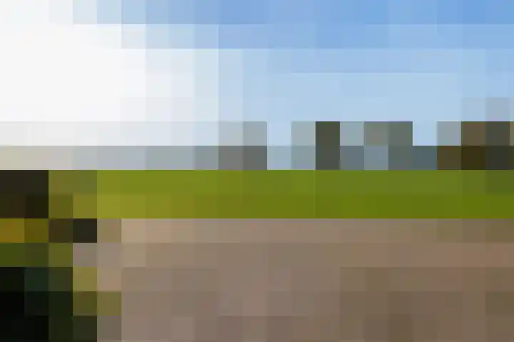 Wijheseweg 44 Raalte thumbnail 42