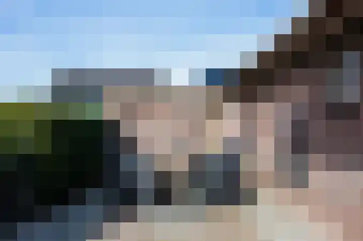 Wijheseweg 44 Raalte thumbnail 44