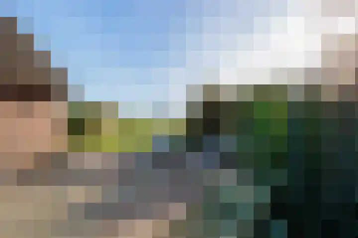 Wijheseweg 44 Raalte thumbnail 46