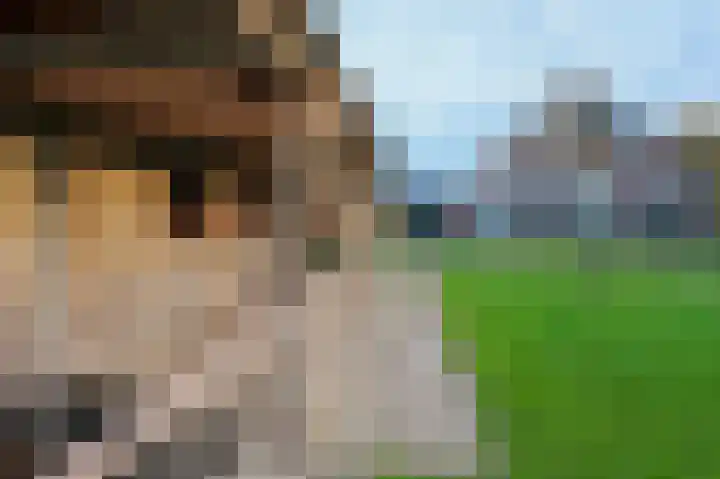 Wijheseweg 44 Raalte thumbnail 49