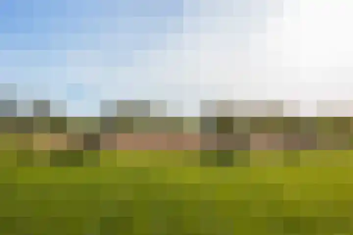 Wijheseweg 44 Raalte thumbnail 51
