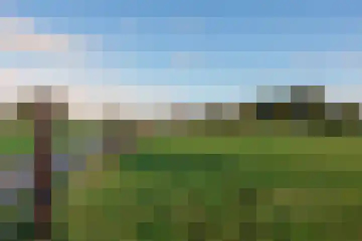 Wijheseweg 44 Raalte thumbnail 52