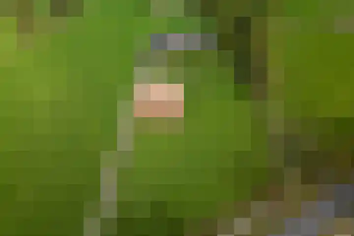 Wijheseweg 44 Raalte thumbnail 53