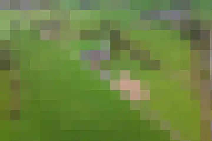 Wijheseweg 44 Raalte thumbnail 54