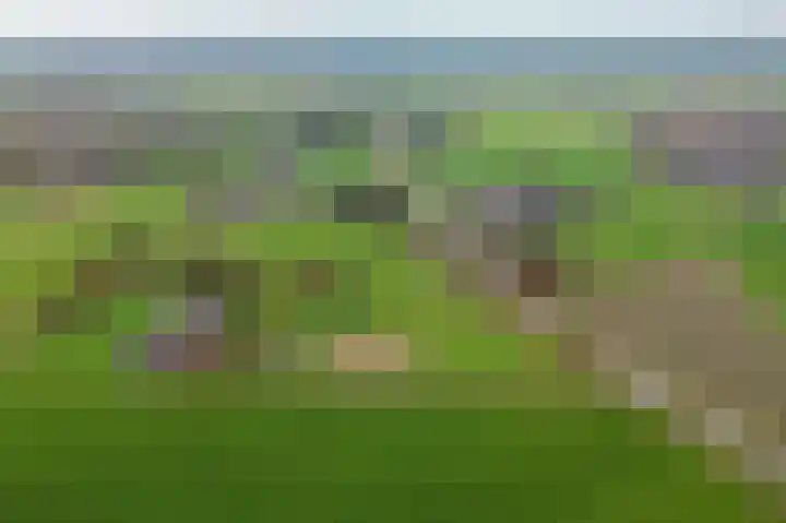 Wijheseweg 44 Raalte thumbnail 55