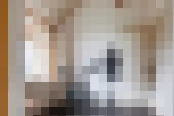 Wijheseweg 44 Raalte thumbnail 7