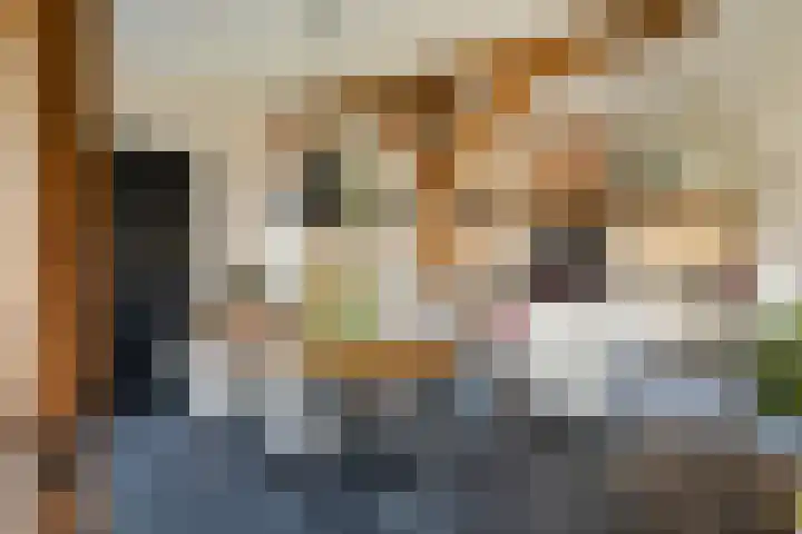 Wijheseweg 5 a Olst thumbnail 12