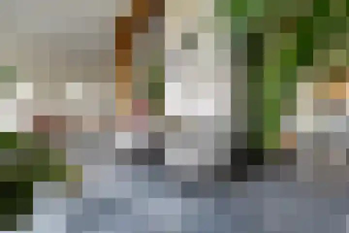 Wijheseweg 5 a Olst thumbnail 16