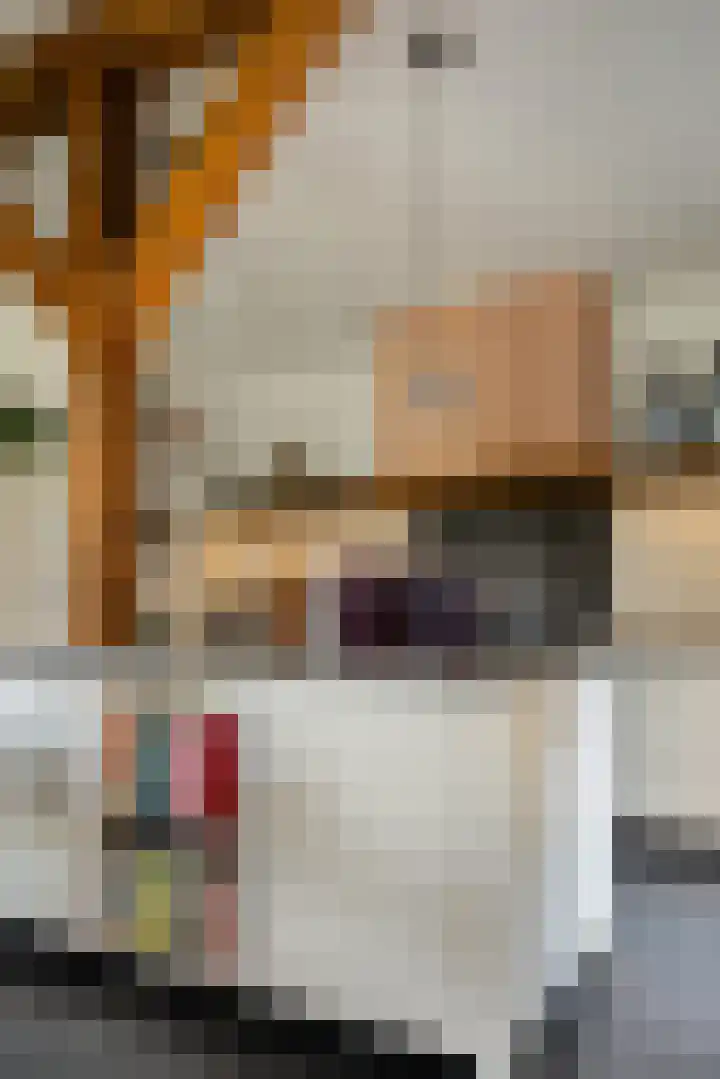 Wijheseweg 5 a Olst thumbnail 17