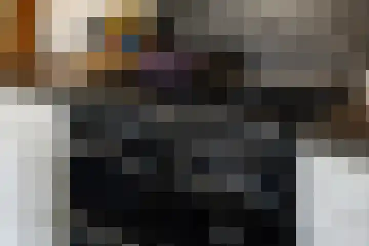 Wijheseweg 5 a Olst thumbnail 19